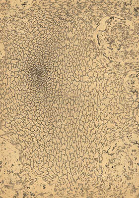 Тарханов Михаил Михайлович. Композиция